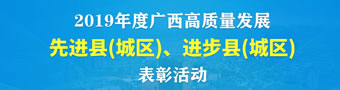 2019年度“广西高质量发展先进县(城区)、进步县(城区)”表彰活动