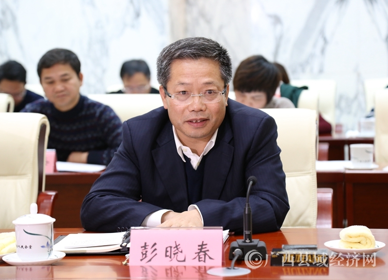 百色市委书记、市人大常委会主任彭晓春在座谈会上发言表态。