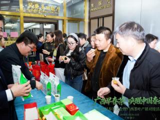 2026广西早春茶大会南宁启幕 共品头道春茶 聚力千亿茶产业