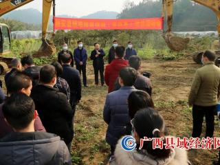 融安县:现场观摩“旱改水”,耕地提质促振兴