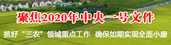 聚焦2020年中央一号文件