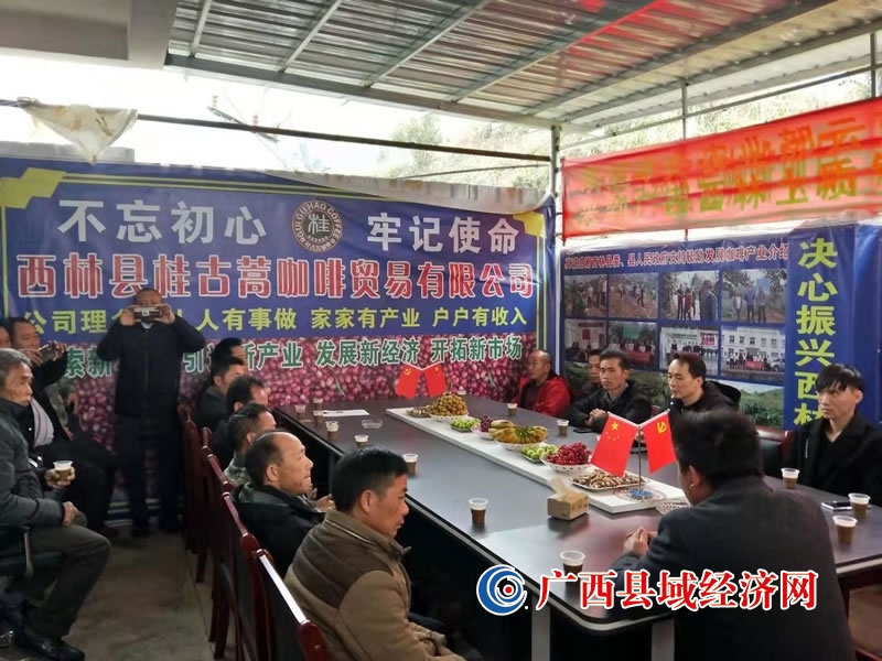 西林县:咖啡种植助力乡村振兴