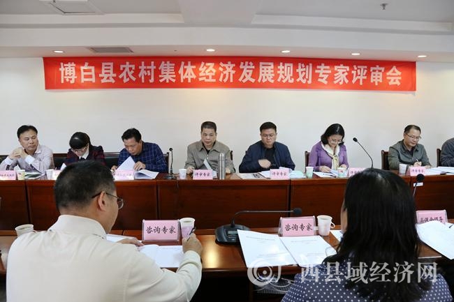 广西首个农村集体经济发展规划通过专家评审