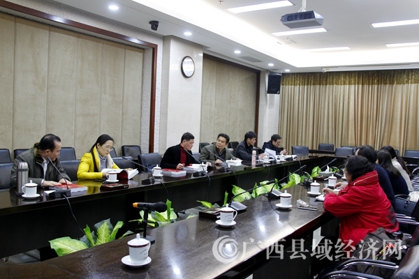 县促会参加《广西“十二五”重大项目建设成就报告》编辑审稿会
