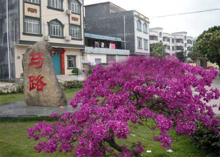 东兴市马路镇