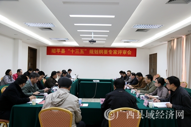 昭平县“十三五”规划纲要在南宁通过专家评审