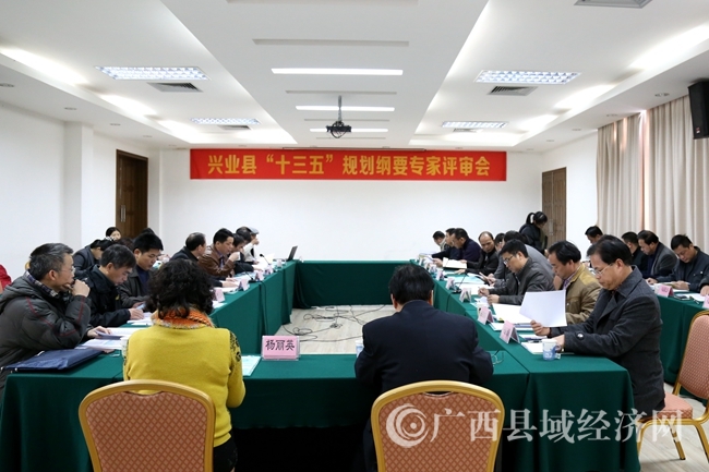兴业县“十三五”规划纲要在南宁通过专家评审