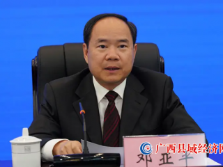 邓亚平,已当选南宁市政协副主席