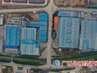 融安县:打造香杉产业聚集效应