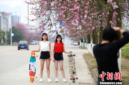 “粉色”的风景,吸引了不少拍照留念的人。 朱柳融 摄