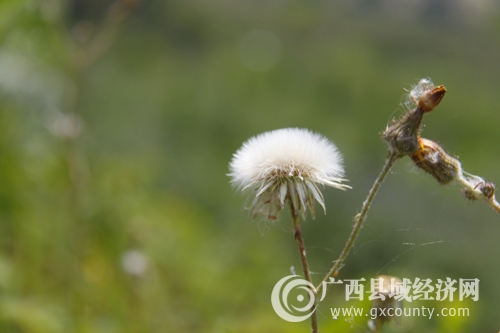 _mg_6059.jpg