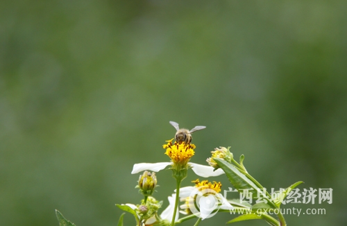 _mg_6054.jpg