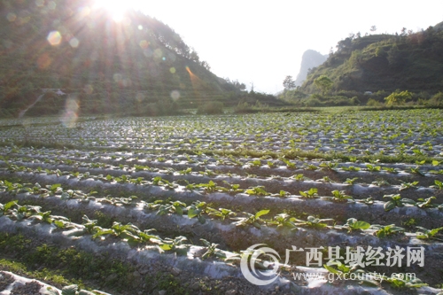 _mg_5860.jpg