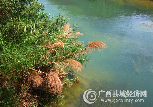鉴河之畔曼贝侬
