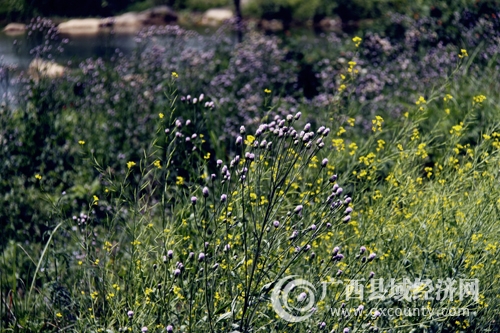 _mg_6023.jpg