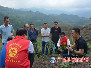 广西金秀县:罗香乡2021年开展油茶栽培现场培训会