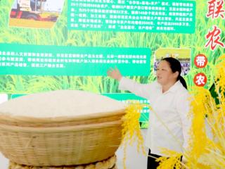 全国十佳农民李燕萍: 十七载守土种粮 带富一方乡亲