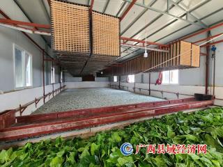 鹿寨县:三向发力 引燃集体经济发展新动能