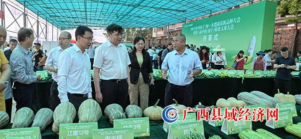 ����ֳ�չʾ�߲�������ʒ�֡��ӵ��� ��