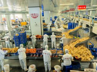 一碗柳州螺蛳粉三重突破!无臭、快煮、文旅出圈惊艳市场