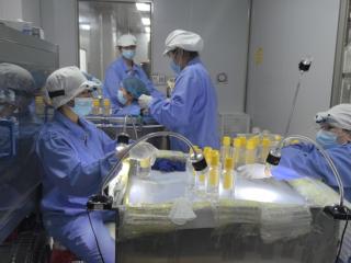 桂字号品牌赋能甜蜜事业 梧州蜂蜜甜蜜出圈