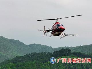 宁明:派阳山林场首次启用直升机开展森林病虫害防治