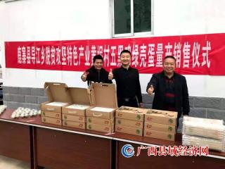 鹿寨县:电商带动 跑出村级集体经济“加速度”