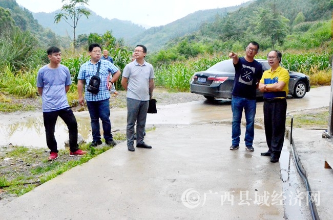 广西县促会到凌云县沙里瑶族乡调研集体经济