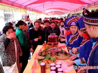 满池荷花那么美 风景如画游人醉