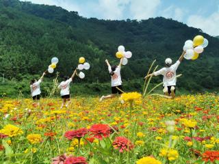 天峨:美丽花海带动乡村游