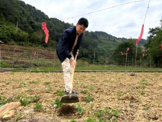 “兵书记”岑日就:扎根乡土,让那温村从规划蓝图变身振兴现实