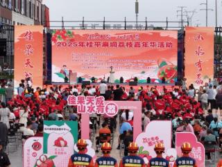 荔香盈桂平!2025麻垌荔枝嘉年华开启“甜蜜经济”新模式