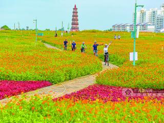 红色游火爆,端午假期广西接待游客超1242万人次