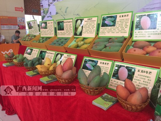 互联网广西特产抢购风潮袭来 桂七芒果等热销 (图)