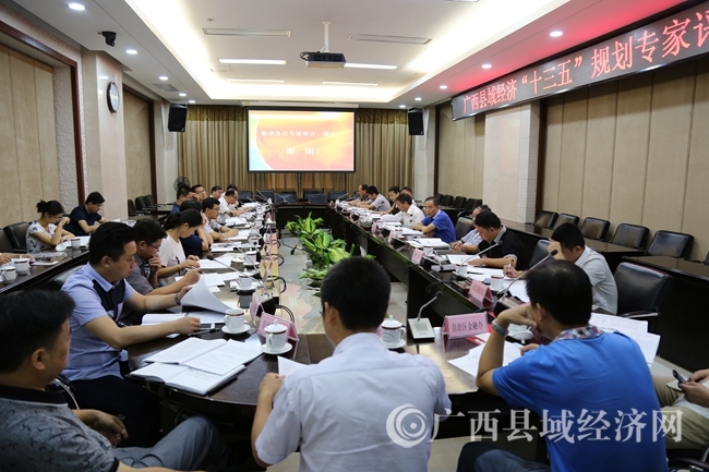 广西县域经济发展“十三五”规划通过专家评审