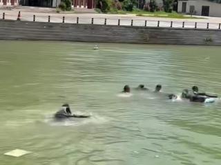 浩坤湖惊魂一刻!3名百色市民纵身跃水救出5名被困游客