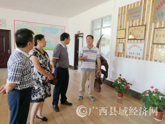图片5