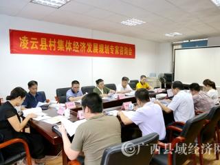 《凌云县村集体经济发展规划》专家咨询会召开