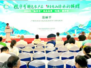 2025年“桂字号”品牌农产品(长春)推介会在长春举行