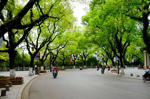 桂林最美的10条路(图文)
