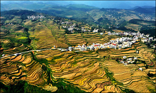 隆林县