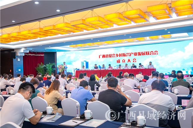 广西县促会成立乡村振兴产业发展联合会