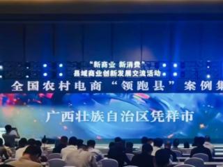 广西凭祥入选第一批全国电商“领跑县”