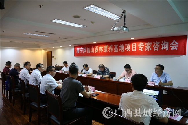 广西县促会、乡村产业联合会召开芦仙山项目专家咨询会