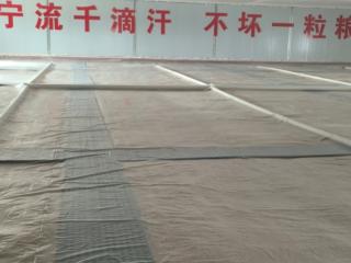 智管细储守粮仓!宾阳实践映照广西粮储“科技跃迁”