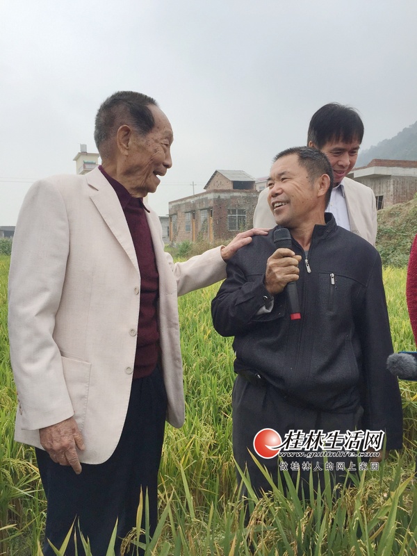 袁隆平赞灌阳再生稻,鼓励农民王良富好好种田。