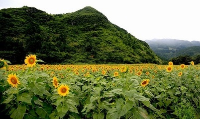 灌阳县新圩镇