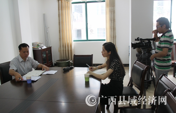促进会派出采访组到东兴市采访、作网络专题服务