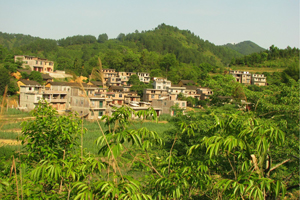 德保县那甲乡