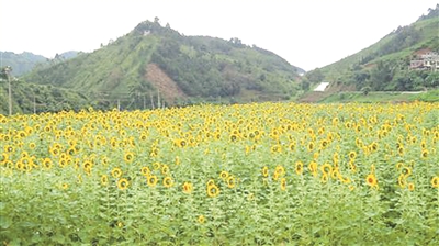 那坡县德隆乡